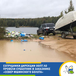 Сотрудники Дирекции ООПТ ЛО привели в порядок заказник «Север Мшинского Болота».