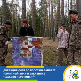 Дирекция ООПТ ЛО приводит в порядок памятный знак в заказнике 