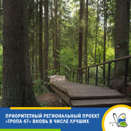 Проект «Тропа 47» вновь в числе лучших