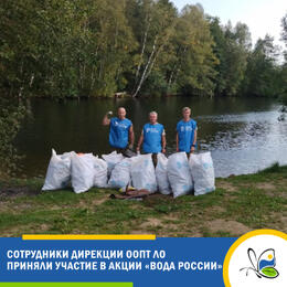 Сотрудники Дирекции ООПТ ЛО приняли участие в акции  «Вода России»