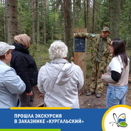 В заказнике «Кургальский» прошла бесплатная экскурсия