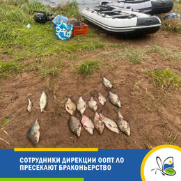Сотрудники Дирекции ООПТ ЛО пресекают браконьерство
