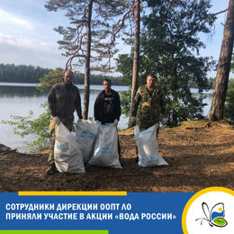 Сотрудники Дирекции ООПТ ЛО вновь участвуют в акции  «Вода России»