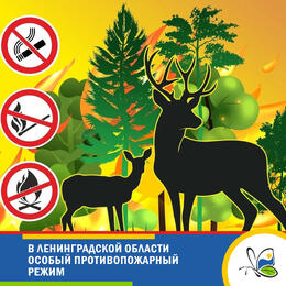 В Ленинградской области особый противопожарный режим