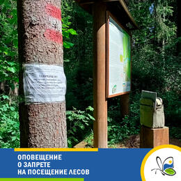 Оповещение о запрете на посещение лесов