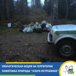 Волонтёры очистили от мусора берега озера Ястребиное