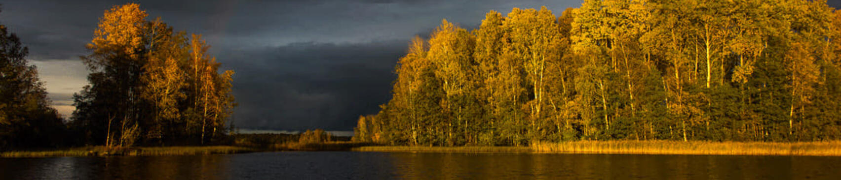Карельская тишина