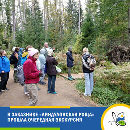 В заказнике «Линдуловская роща» прошла заключительная в этом сезоне экскурсия