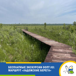 Бесплатные экскурсии ООПТ ЛО: маршрут «Ладожские берега»