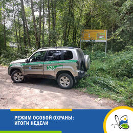 Режим особой охраны: новости недели