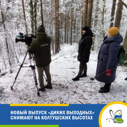 О памятнике природы «Колтушские высоты» расскажет новый выпуск программы «Дикие выходные»