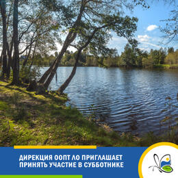 Дирекция ООПТ ЛО приглашает принять участие в субботнике