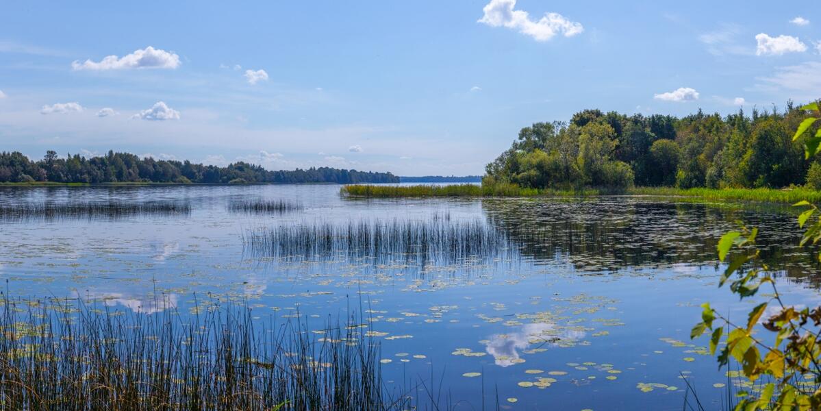 Череменецкий