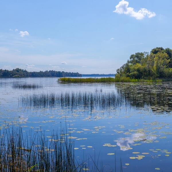 Череменецкий