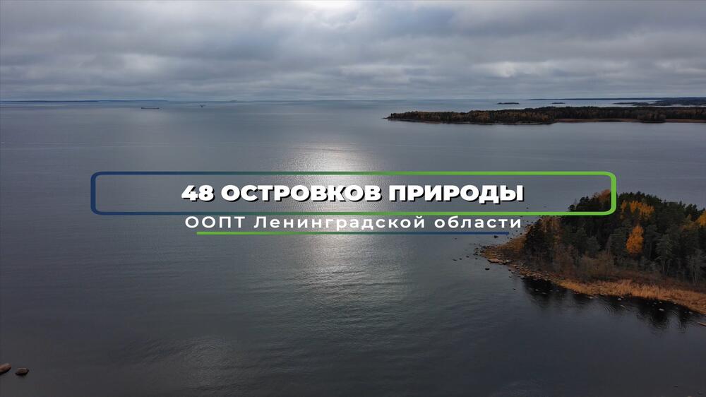 Смотреть видео