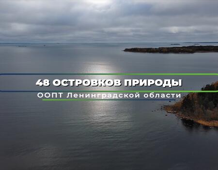 Смотреть видео