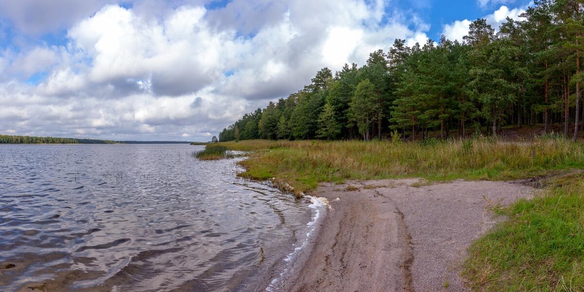 Кургальский