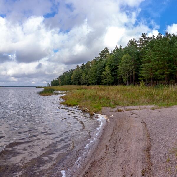 Кургальский