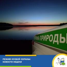 Режим особой охраны: сводка недели