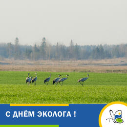 С Днём эколога!