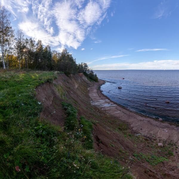 Лебяжий