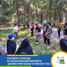 Разговор о природе на экологическом маршруте «Долина реки Выбья и Лужская губа»