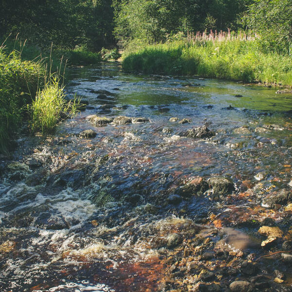 Река Рагуша