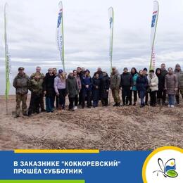 В заказнике 