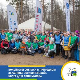 Волонтёры собрали в природном заказнике 