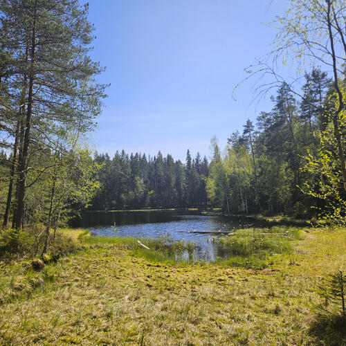 Озёрная