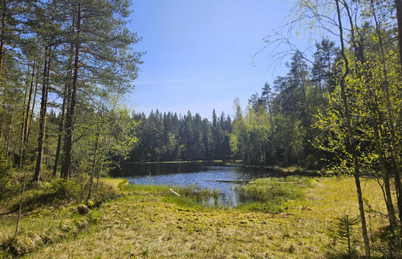 Озёрная
