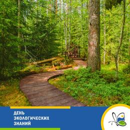 День экологических знаний