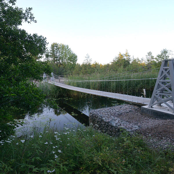 Кургальский