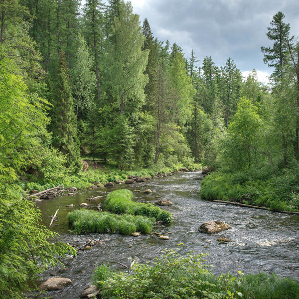 Линдуловская роща