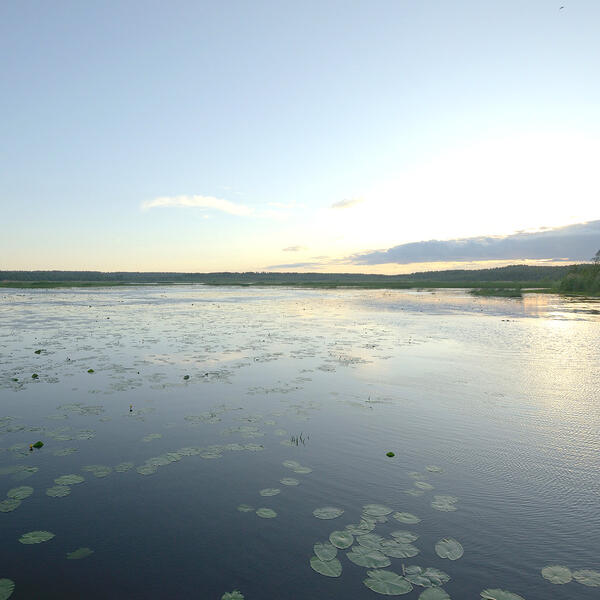 Раковые озёра