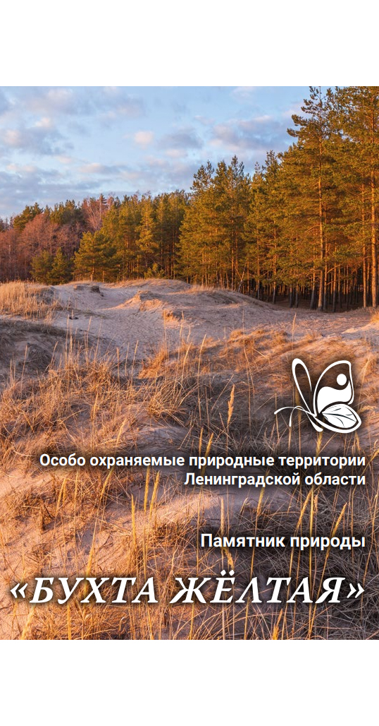 Памятник природы «Бухта Жёлтая»