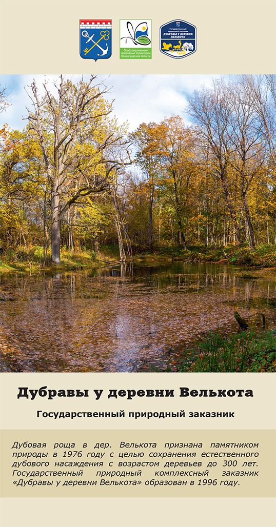 Дубравы у деревни Велькота