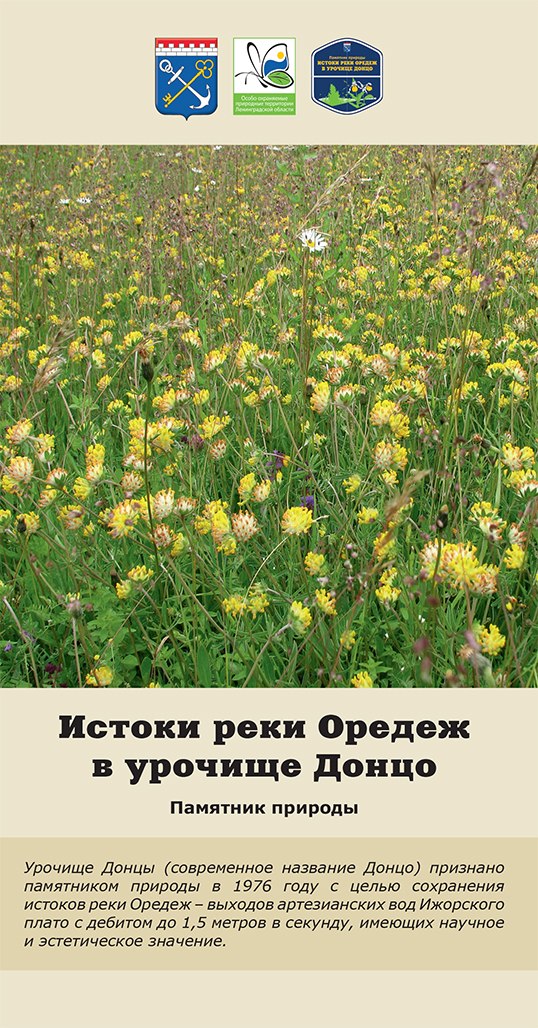 Истоки реки Оредеж в урочище Донцо