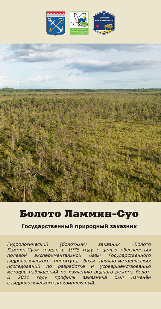 Болото Ламмин-Суо