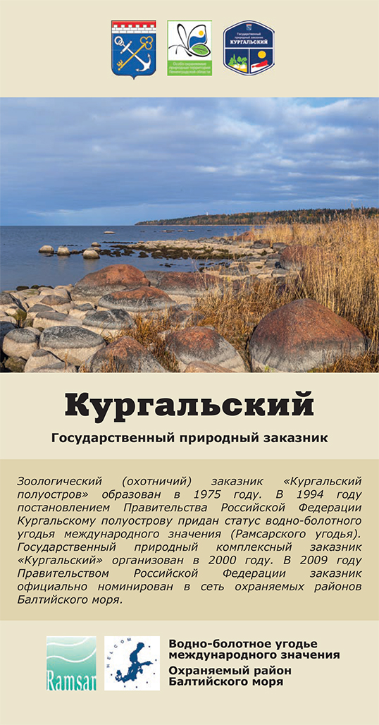 Кургальский