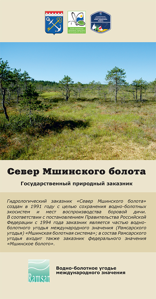 Север Мшинского болота