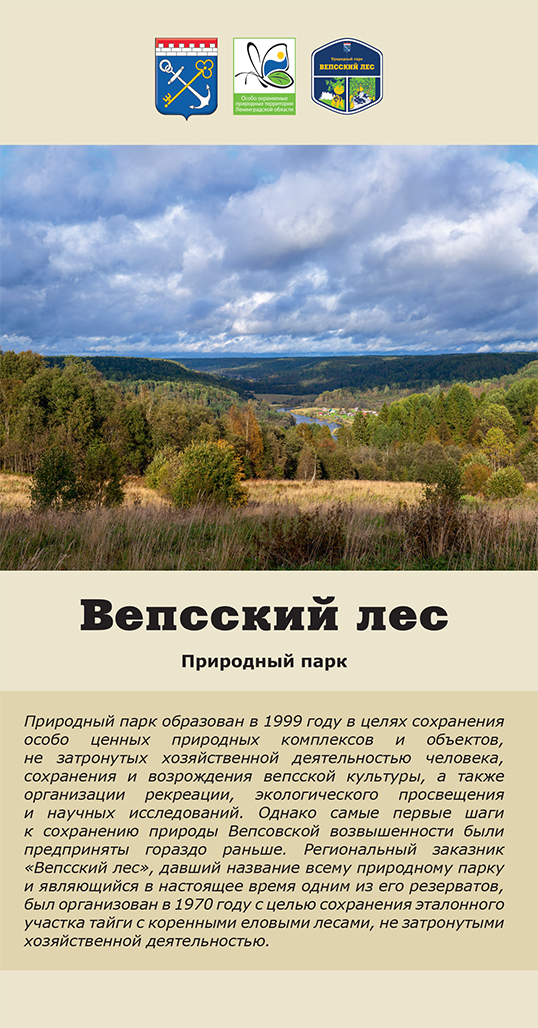 Вепсский лес