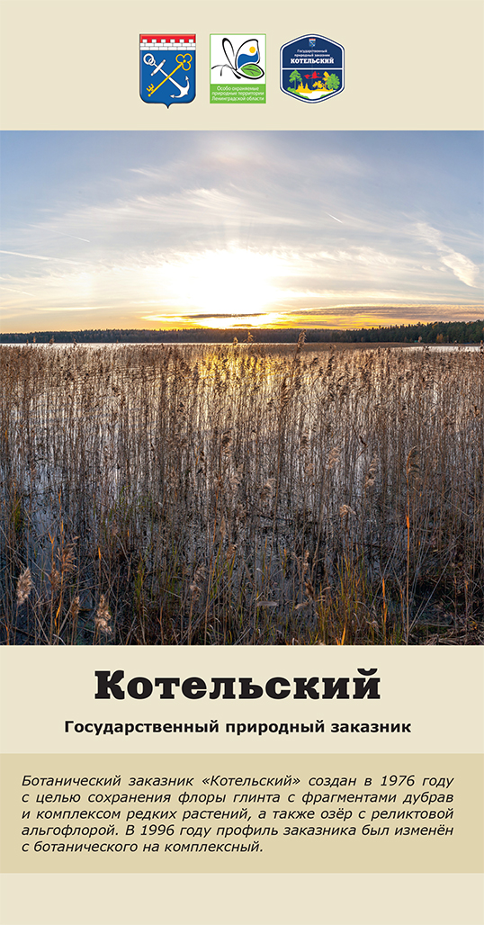 Котельский