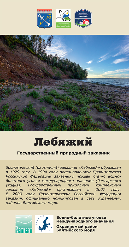Лебяжий