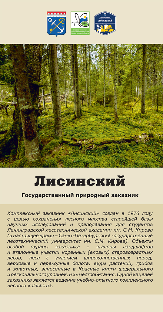 Лисинский