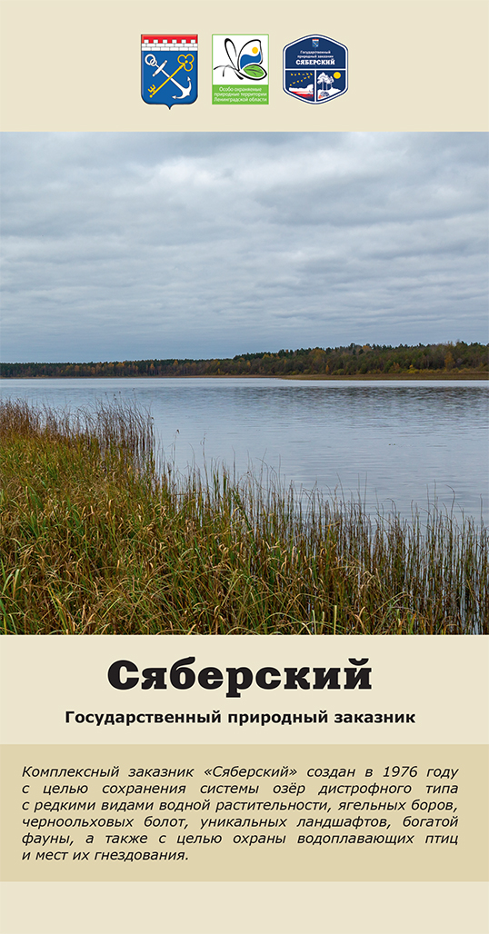 Сяберский